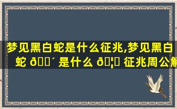 梦见黑白蛇是什么征兆,梦见黑白蛇 🐴 是什么 🦁 征兆周公解梦